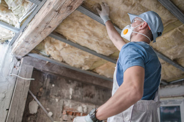 Trusted Aurora, NE Insulation Contractor Experts