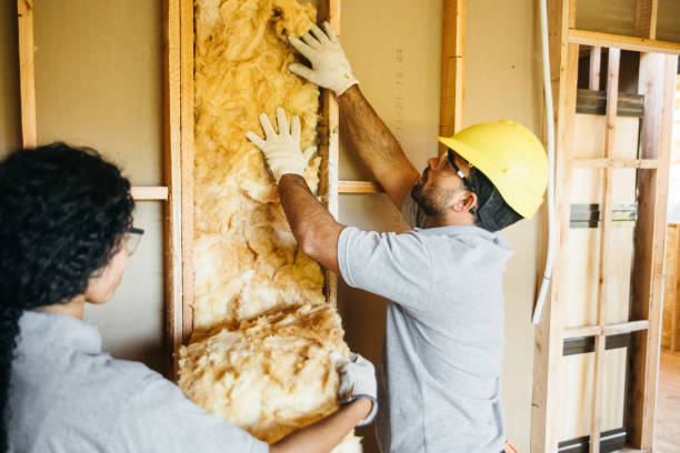 Best Affordable Insulation Services  in Aurora, NE