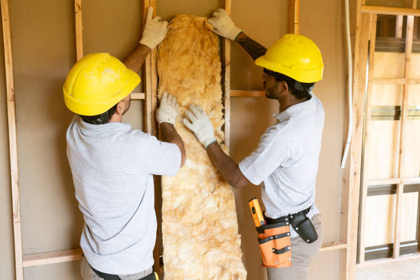 Best Insulation Repair Services  in Aurora, NE