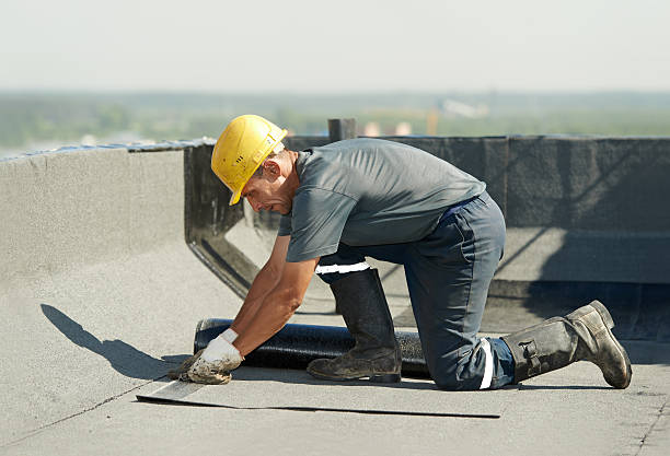 Best Cellulose Insulation  in Aurora, NE