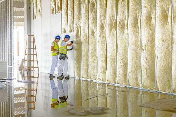 Best Residential Insulation Services  in Aurora, NE